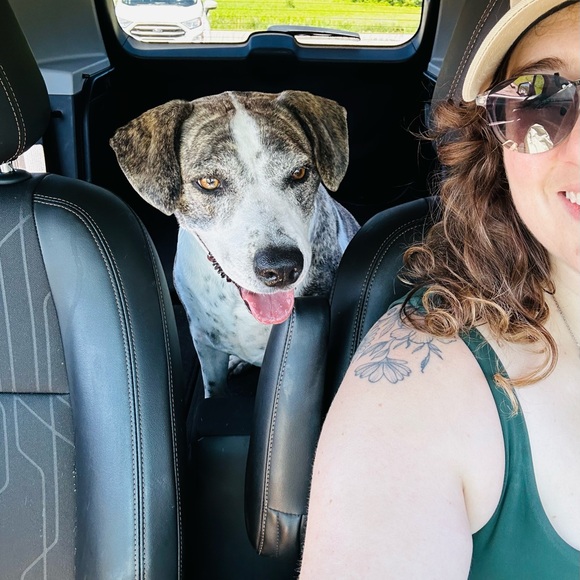 πππ - Picture 1 of 4